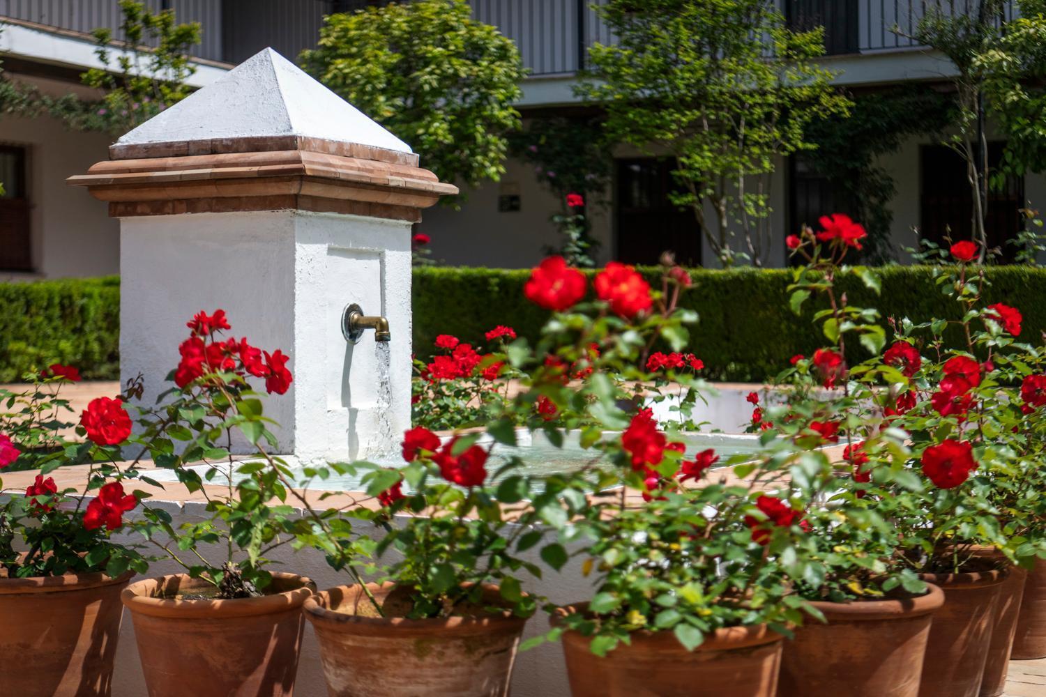 Magno Apartments San Laureano - Private Parking Included Σεβίλλη Εξωτερικό φωτογραφία
